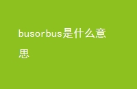 busorbusʲô˼